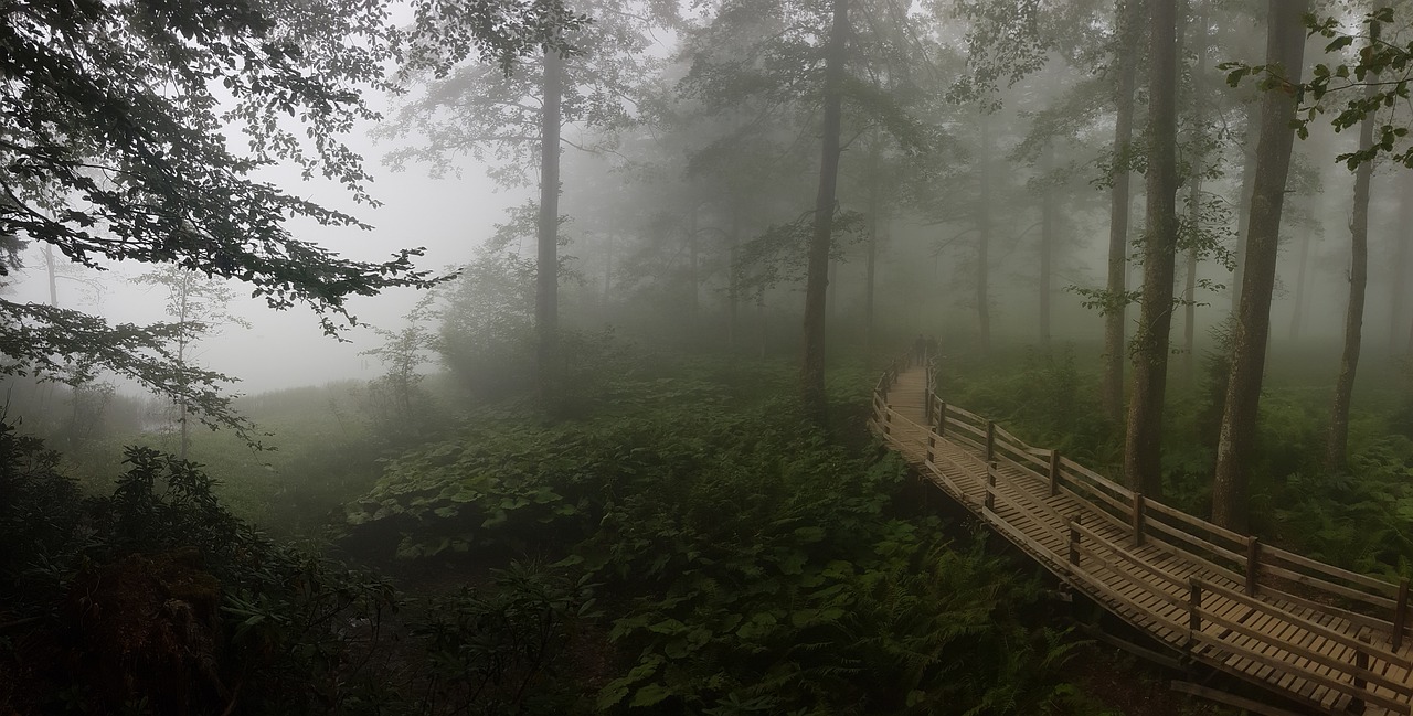 Artvin Yeni Projelerde Satış Rakamları ve Talep