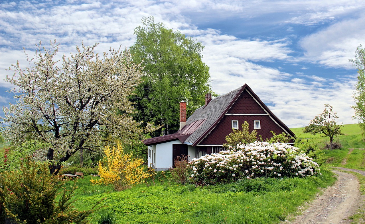 Giresun Tatil Bölgelerinde Yazlık Ev İlanları