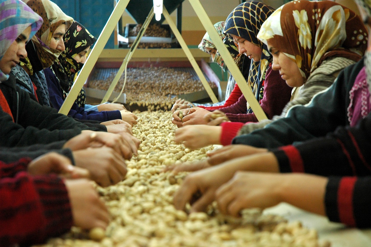 Osmaniye Sahibinden Satılık Arsa İlanları