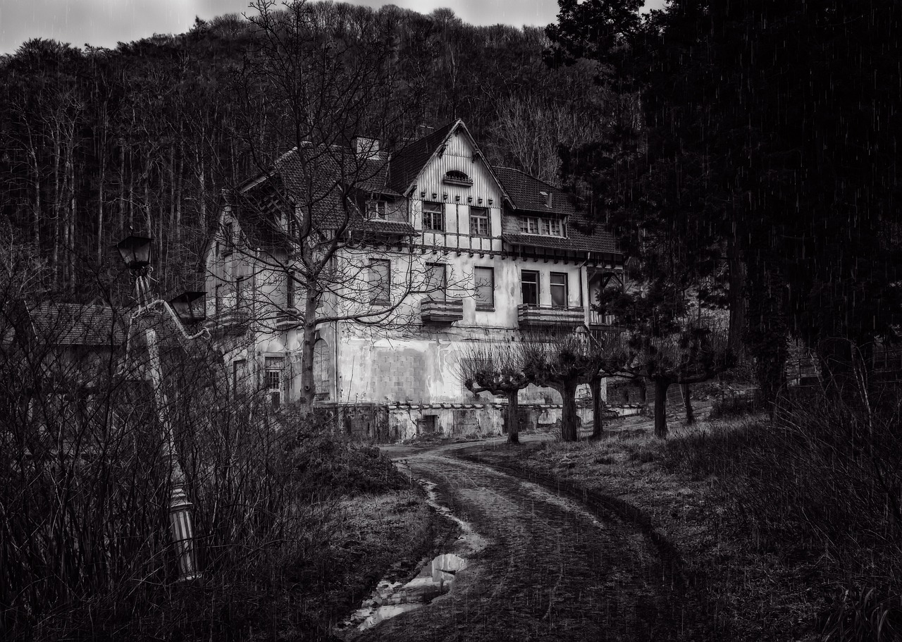 Rize Doğa İçinde Yaşam: Satılık ve Kiralık Evler