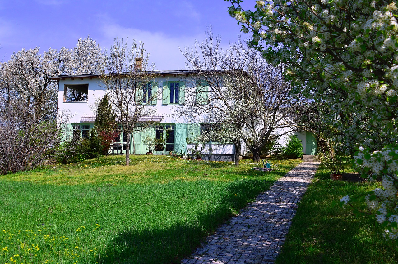 Beypazarı’nda 2025'te Satılık ve Kiralık Emlak Piyasası